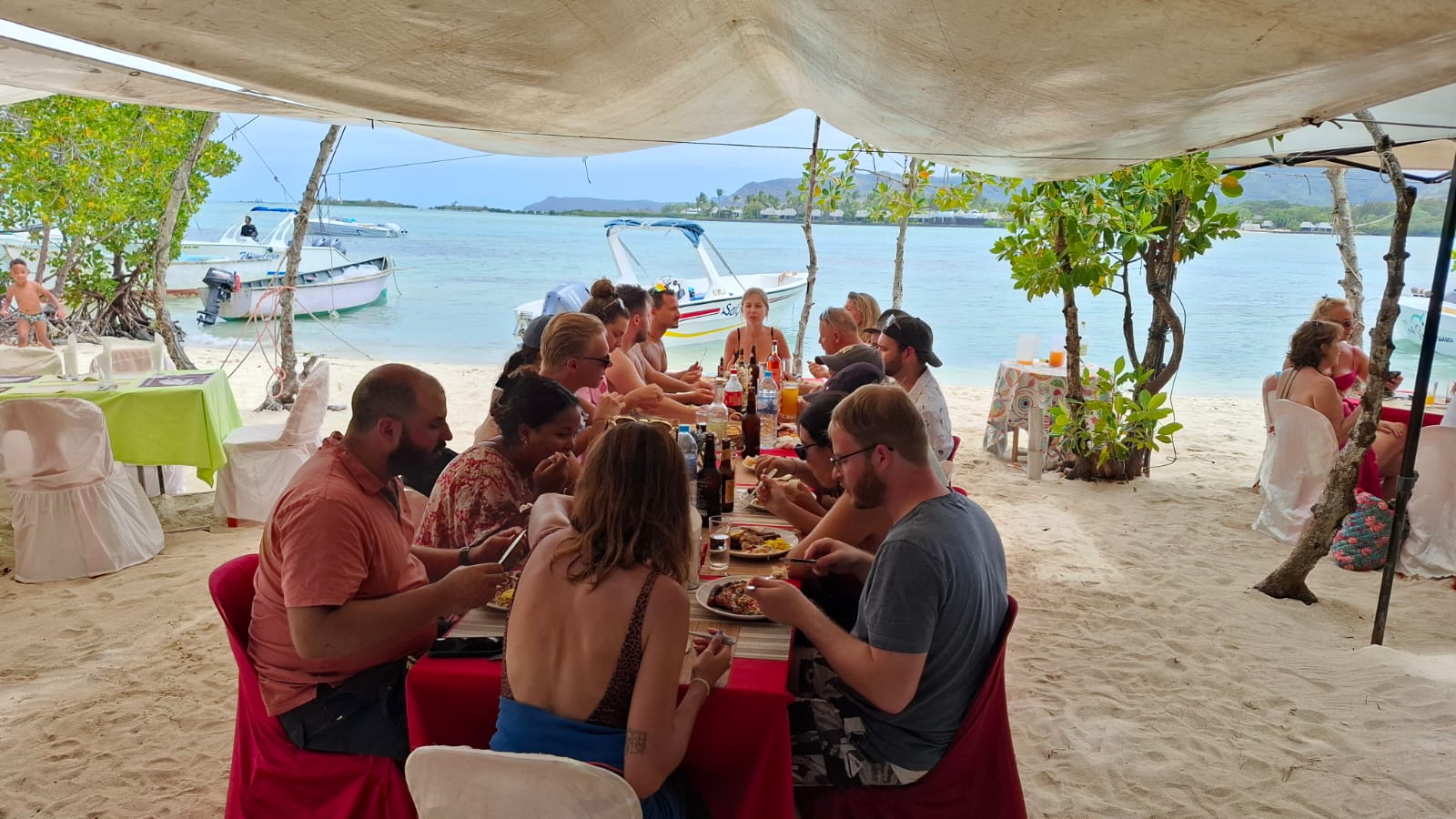 Southeast Cruises Adventure 8