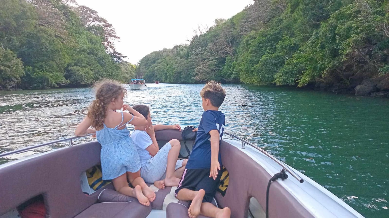 Southeast Cruises Adventure 43